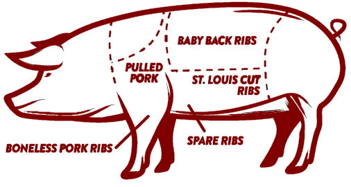 bbq catering pork ribs locations on a pig. BBQ ribs details.